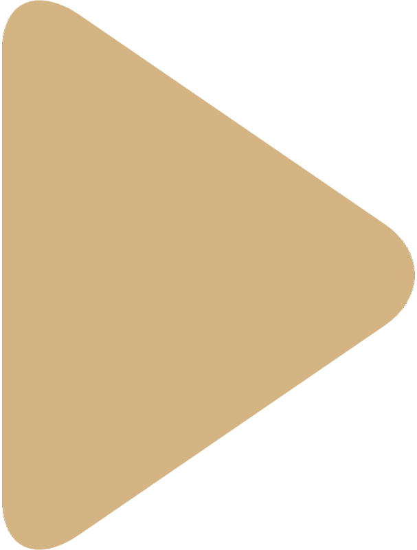 start-btn-icon